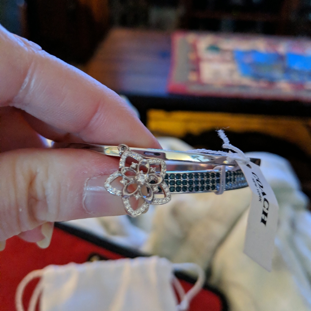 Coach earrings and matching bracelet's